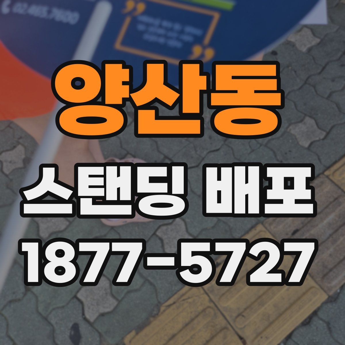 양산동 스탠딩 배포