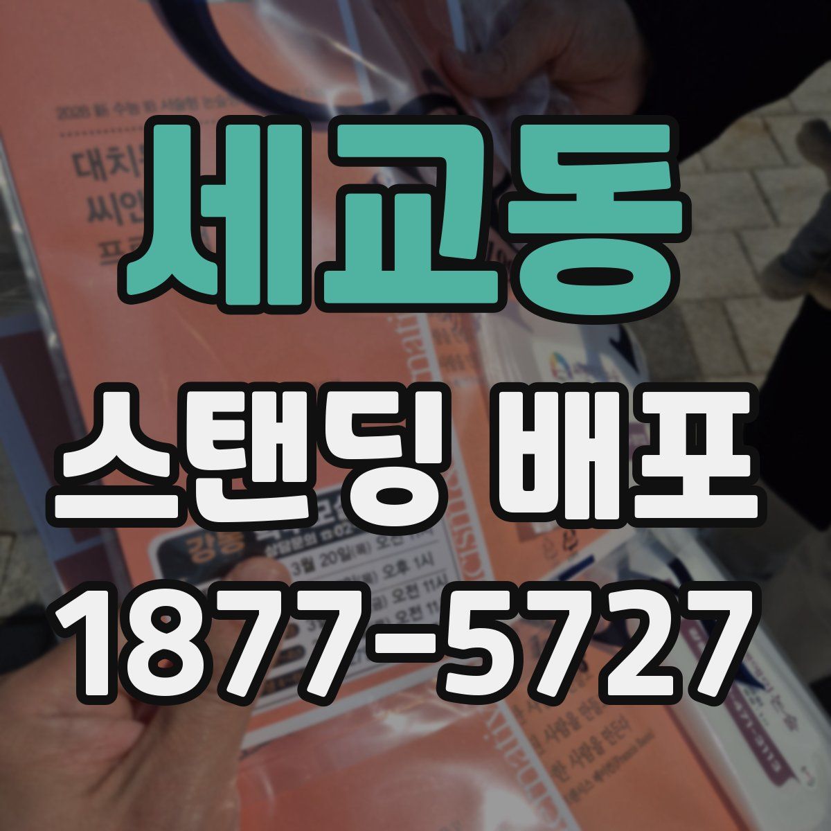 세교동 스탠딩 배포