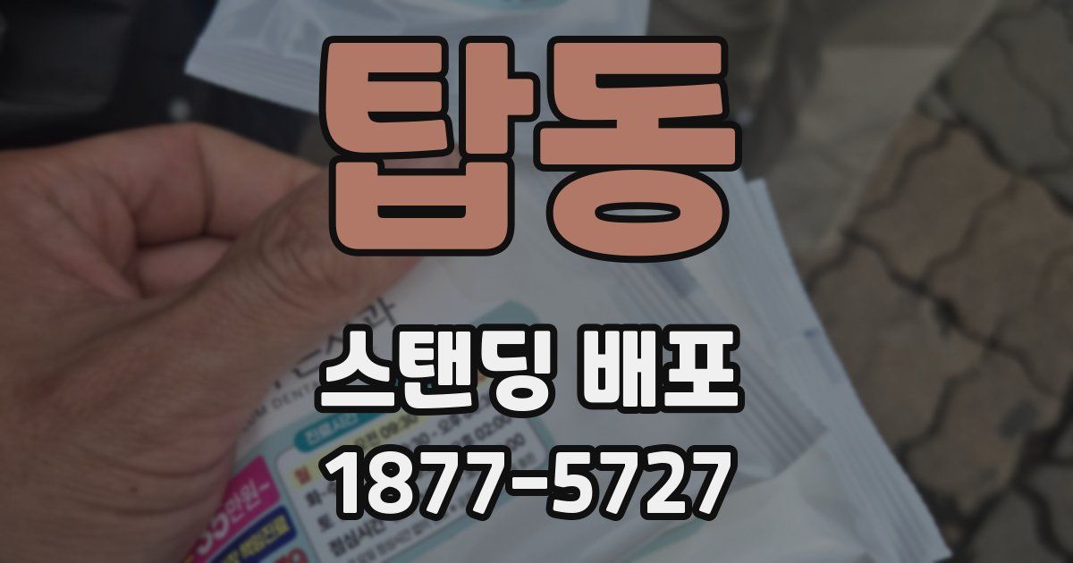 탑동 스탠딩 배포