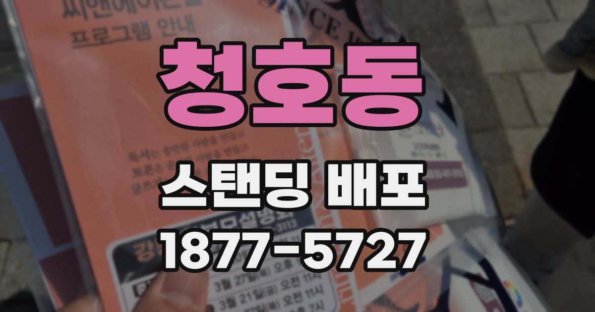 청호동 스탠딩 배포