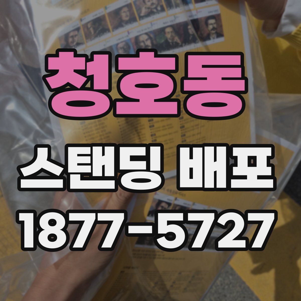 청호동 스탠딩 배포