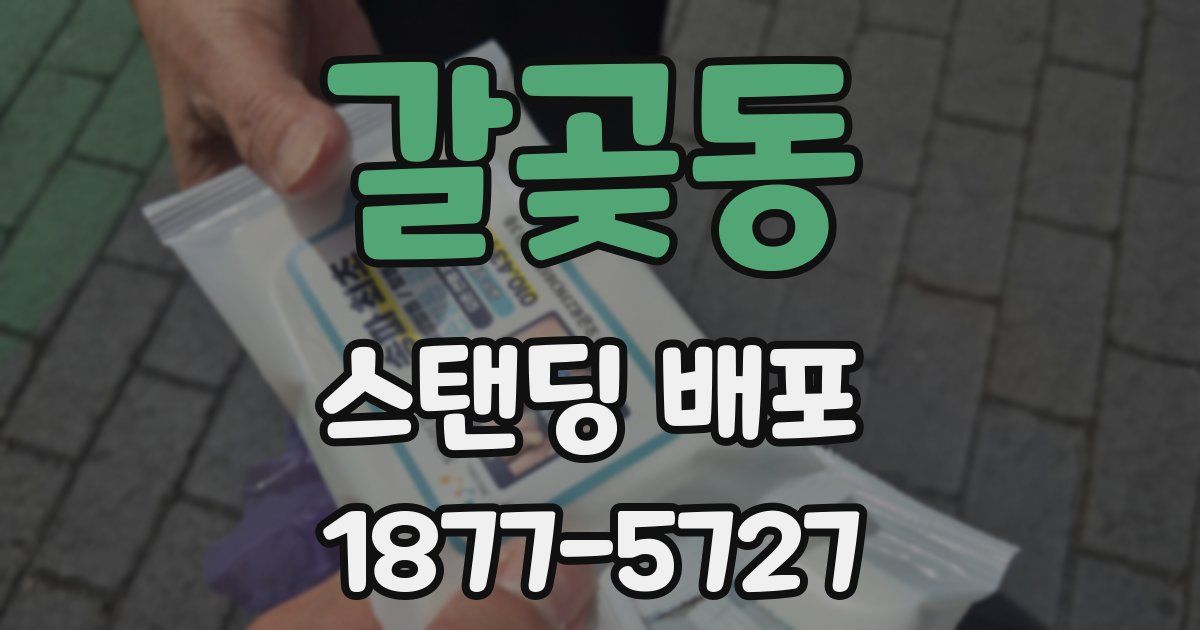 갈곶동 스탠딩 배포