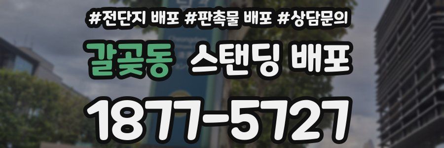 갈곶동 스탠딩 배포