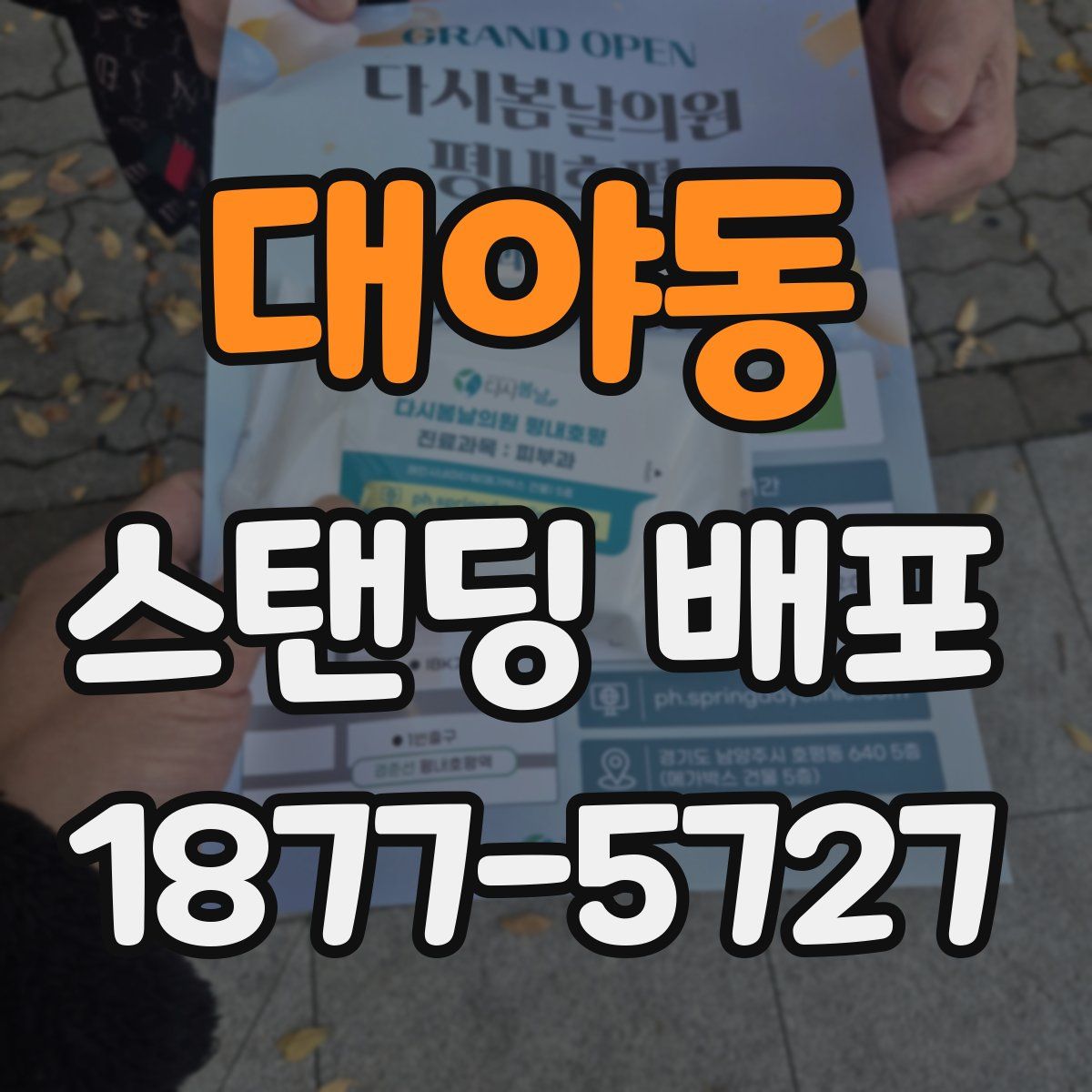 대야동 스탠딩 배포