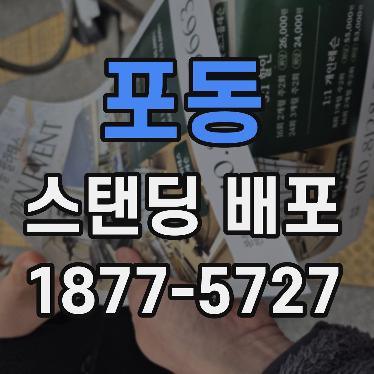 포동 스탠딩 배포