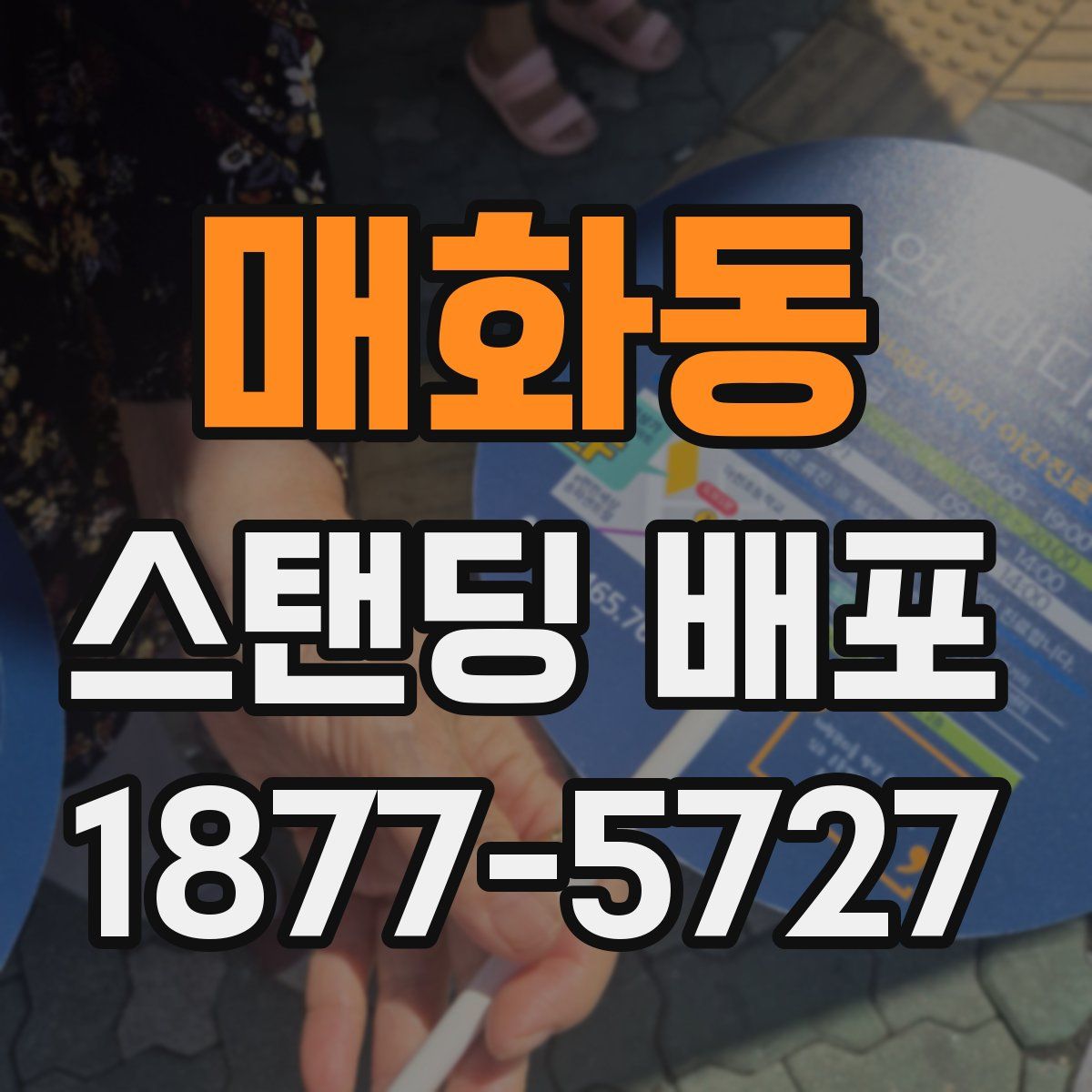 매화동 스탠딩 배포