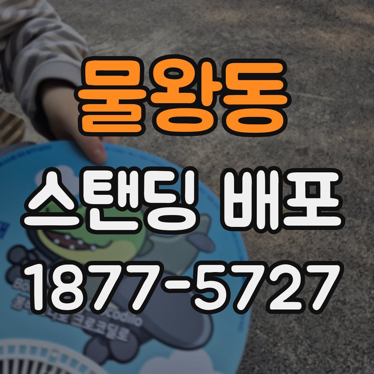 물왕동 스탠딩 배포