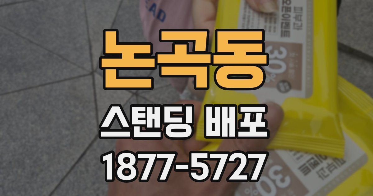 논곡동 스탠딩 배포