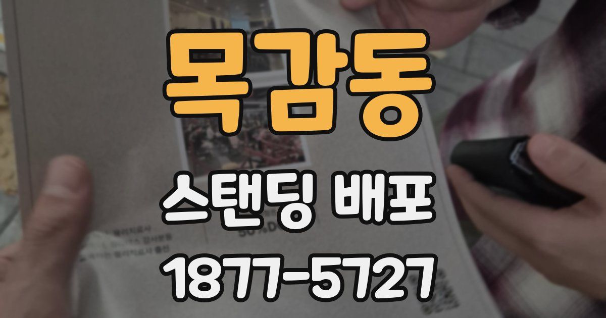 목감동 스탠딩 배포