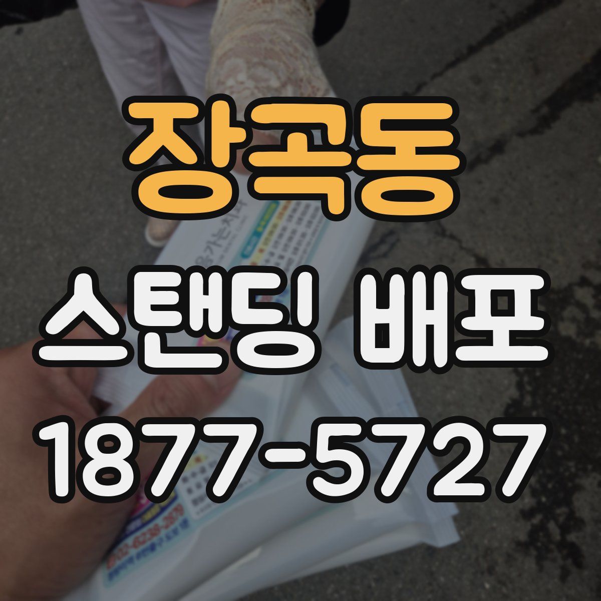 장곡동 스탠딩 배포