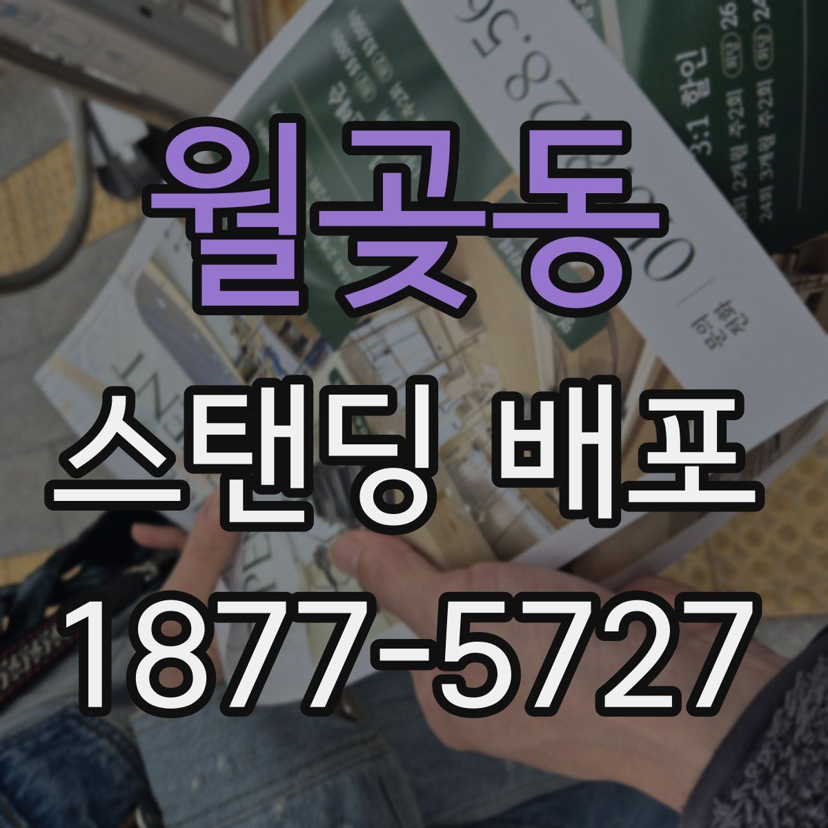 월곶동 스탠딩 배포