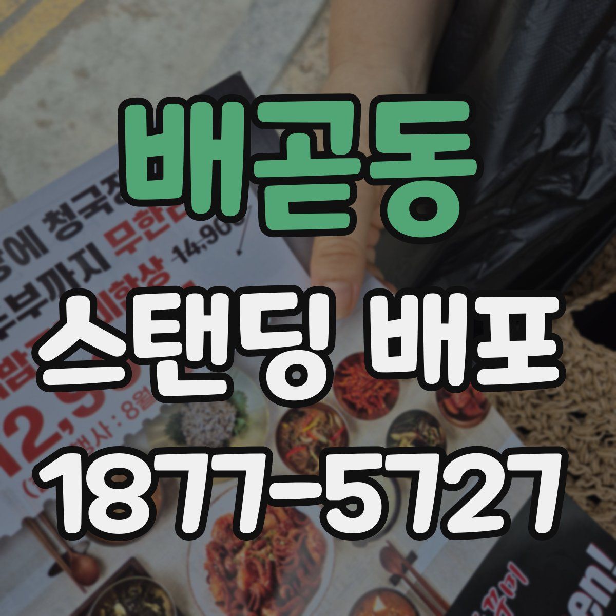 배곧동 스탠딩 배포