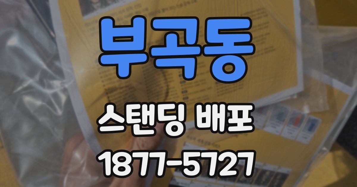 부곡동 스탠딩 배포