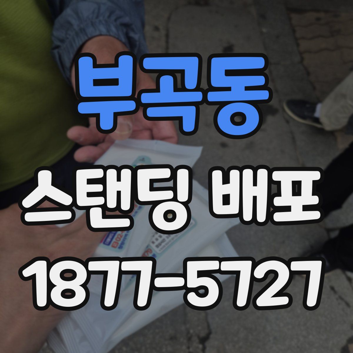 부곡동 스탠딩 배포