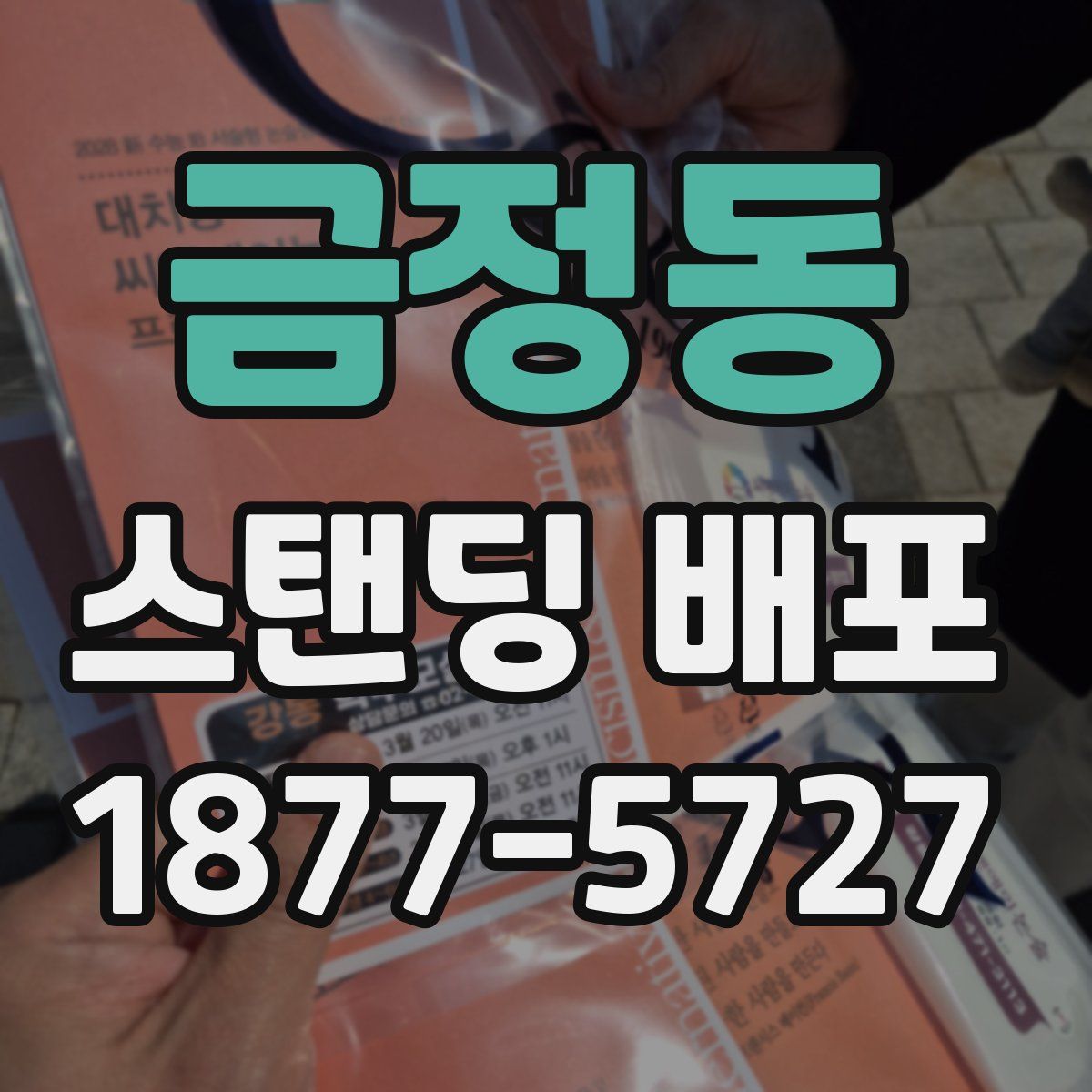 금정동 스탠딩 배포