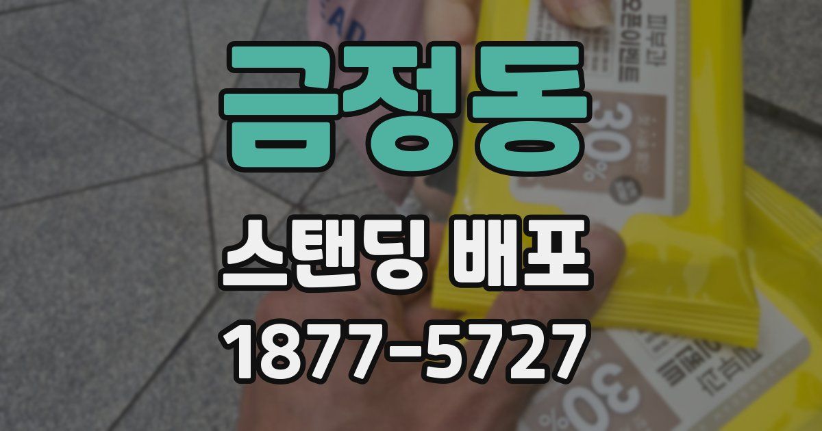 금정동 스탠딩 배포