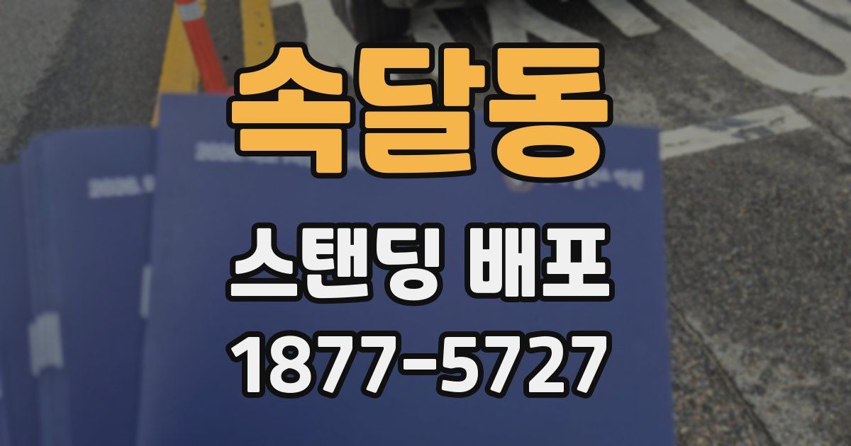 속달동 스탠딩 배포