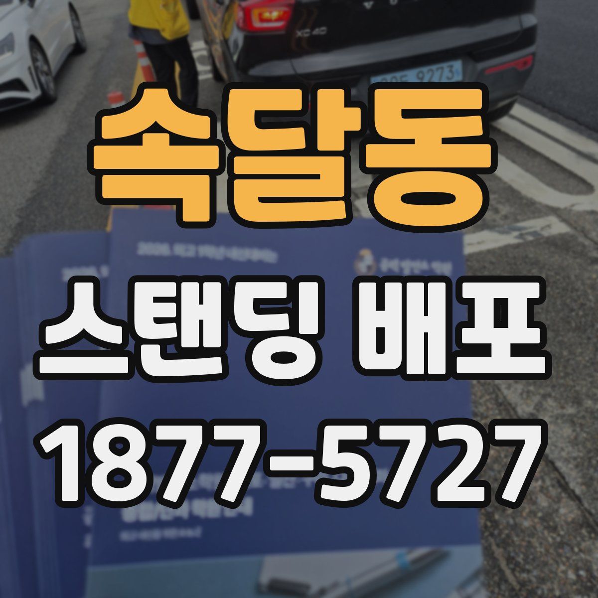 속달동 스탠딩 배포