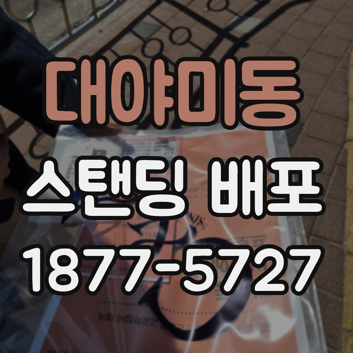 대야미동 스탠딩 배포