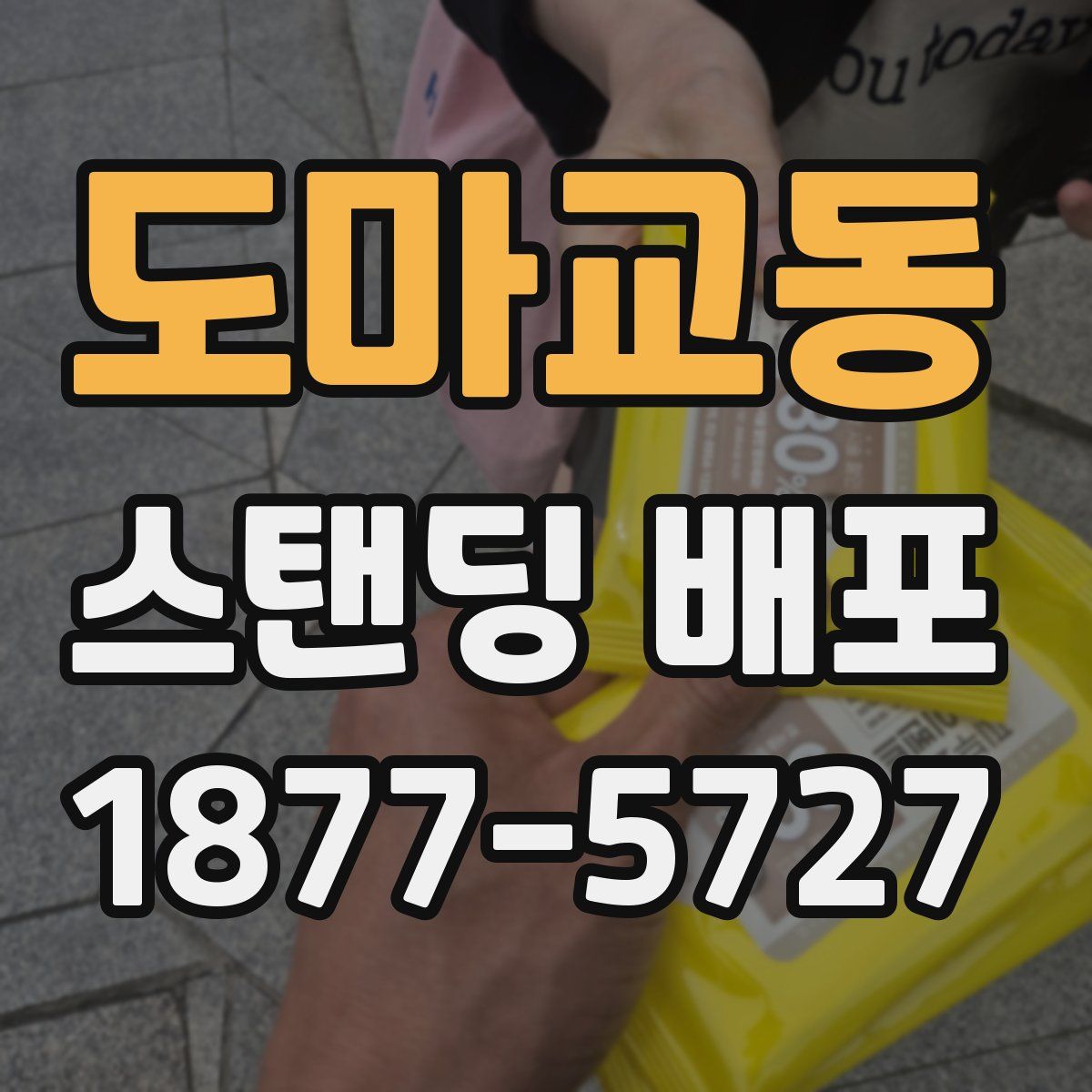 도마교동 스탠딩 배포