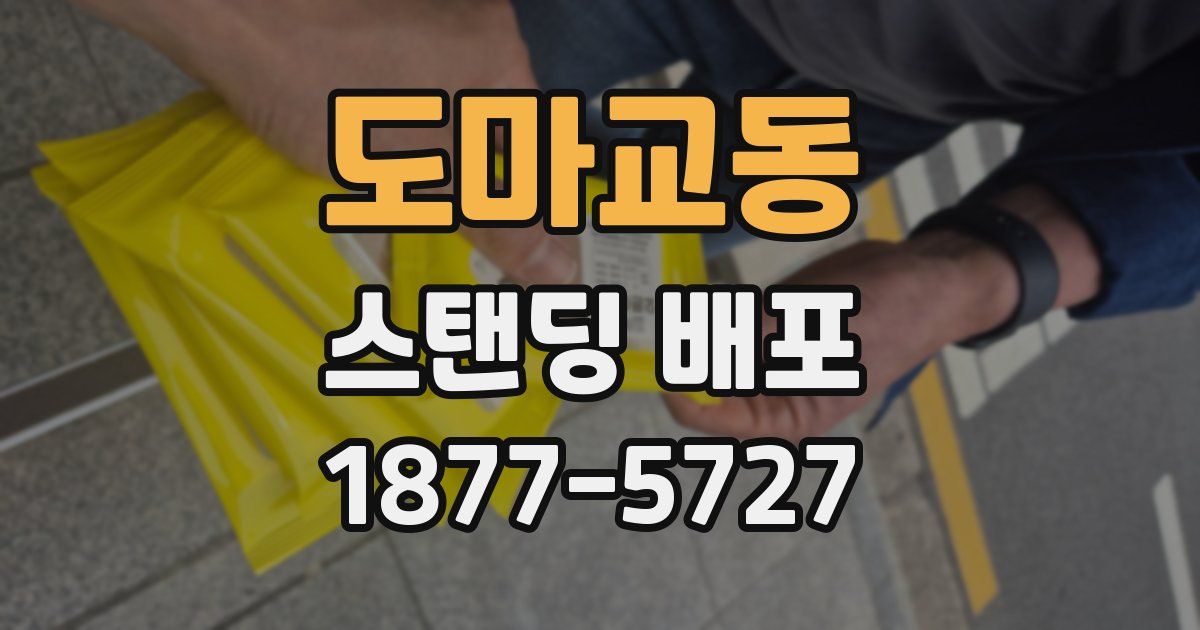 도마교동 스탠딩 배포