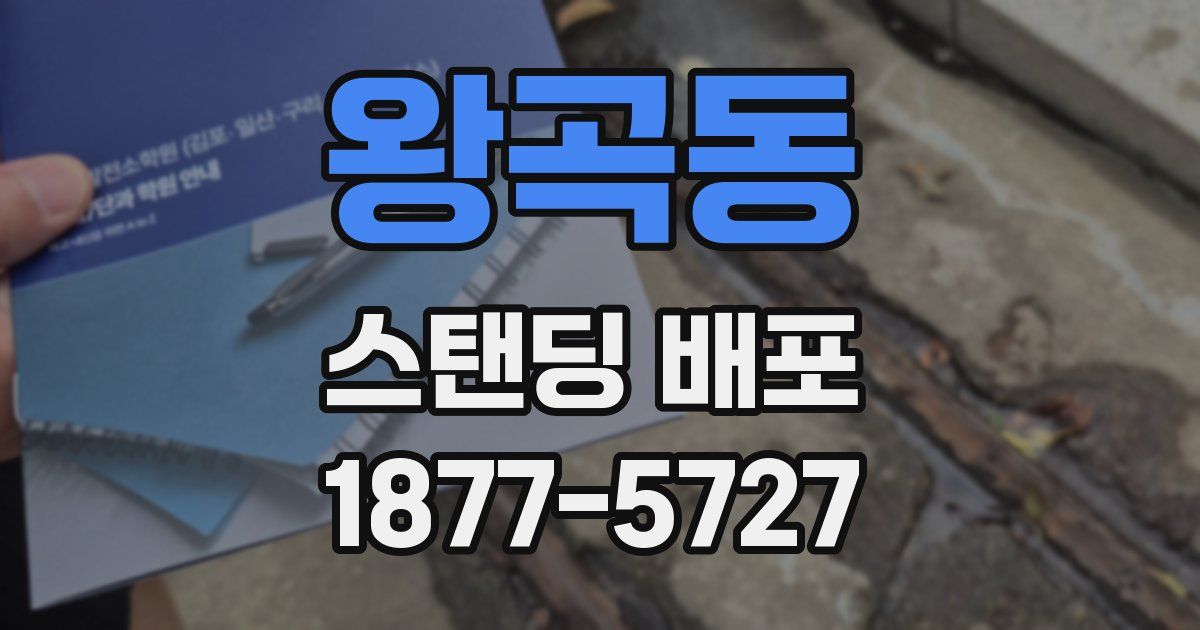 왕곡동 스탠딩 배포