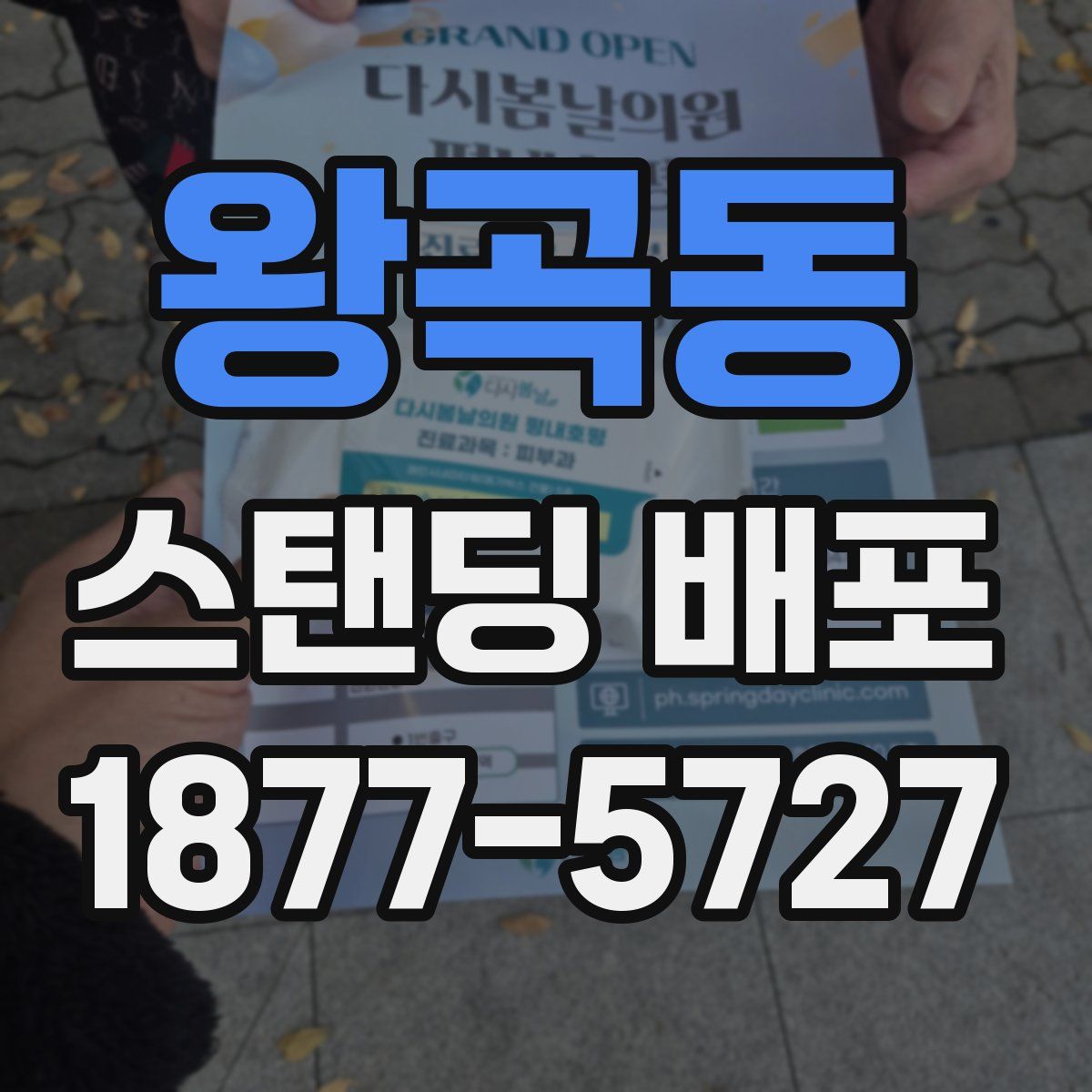 왕곡동 스탠딩 배포