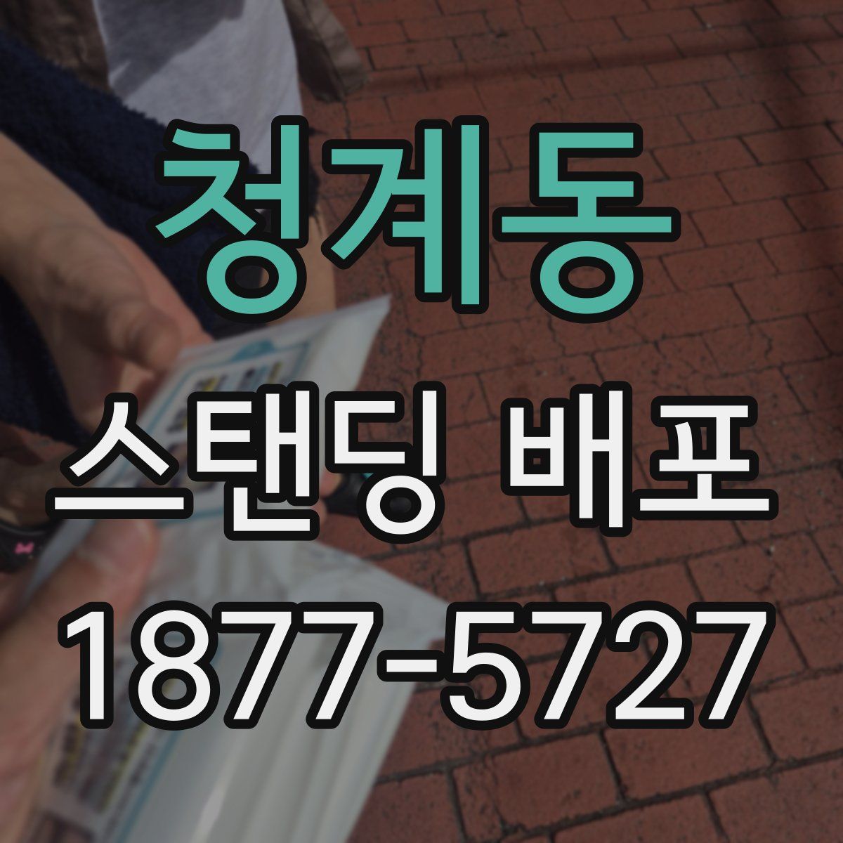 청계동 스탠딩 배포