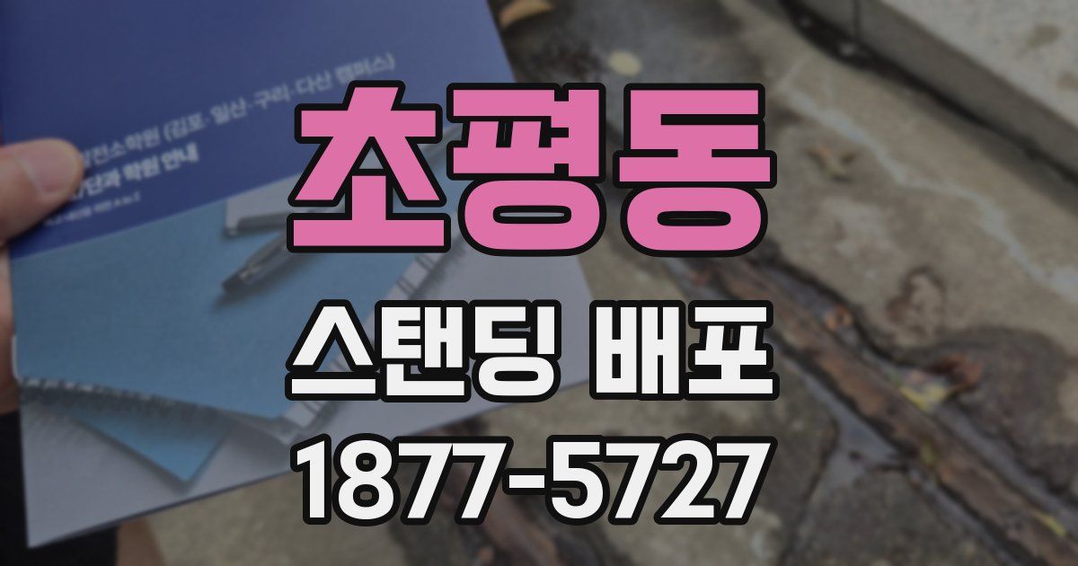 초평동 스탠딩 배포