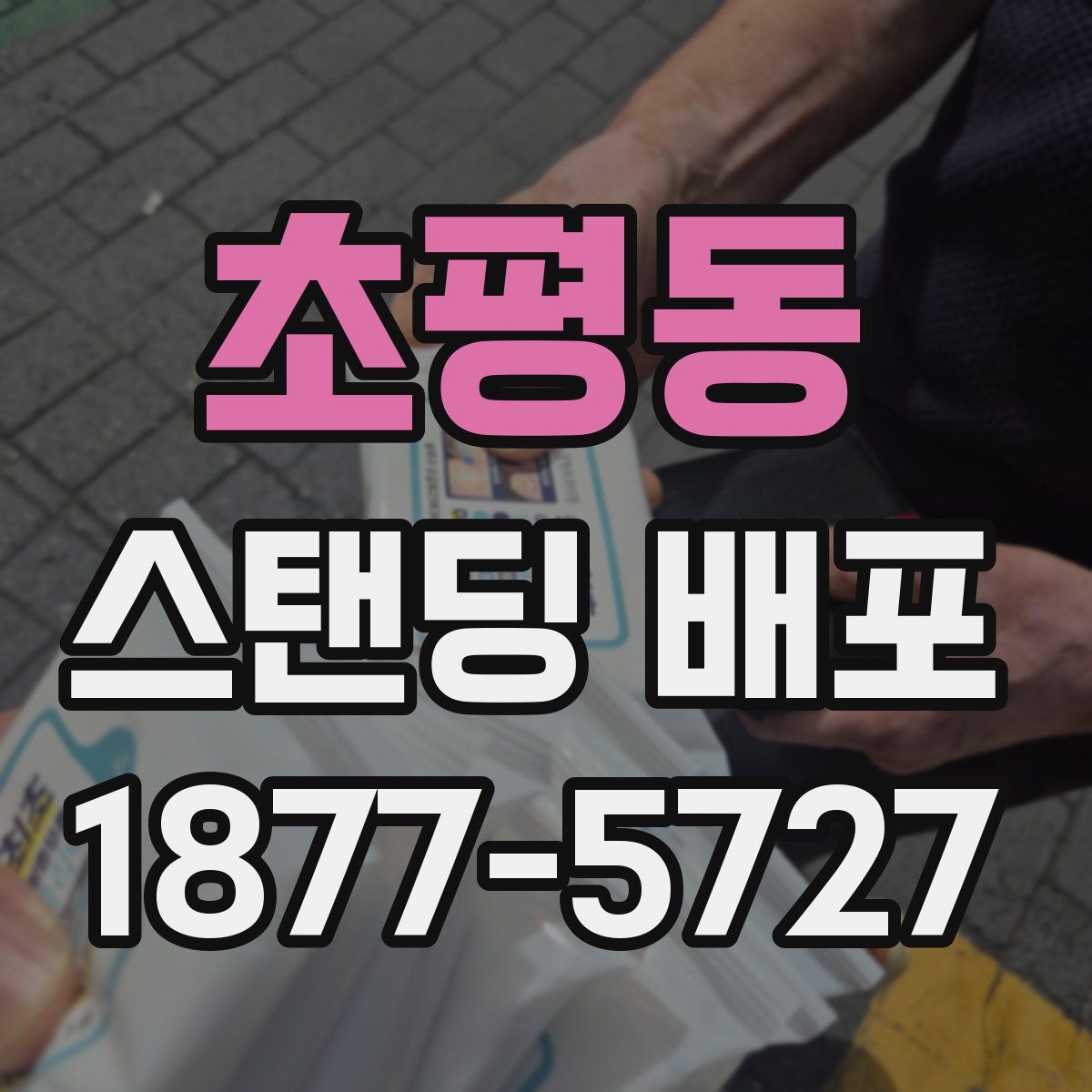 초평동 스탠딩 배포