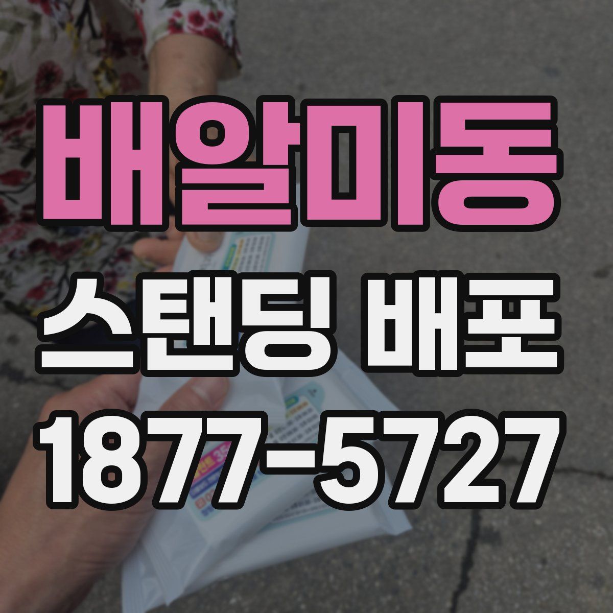 배알미동 스탠딩 배포