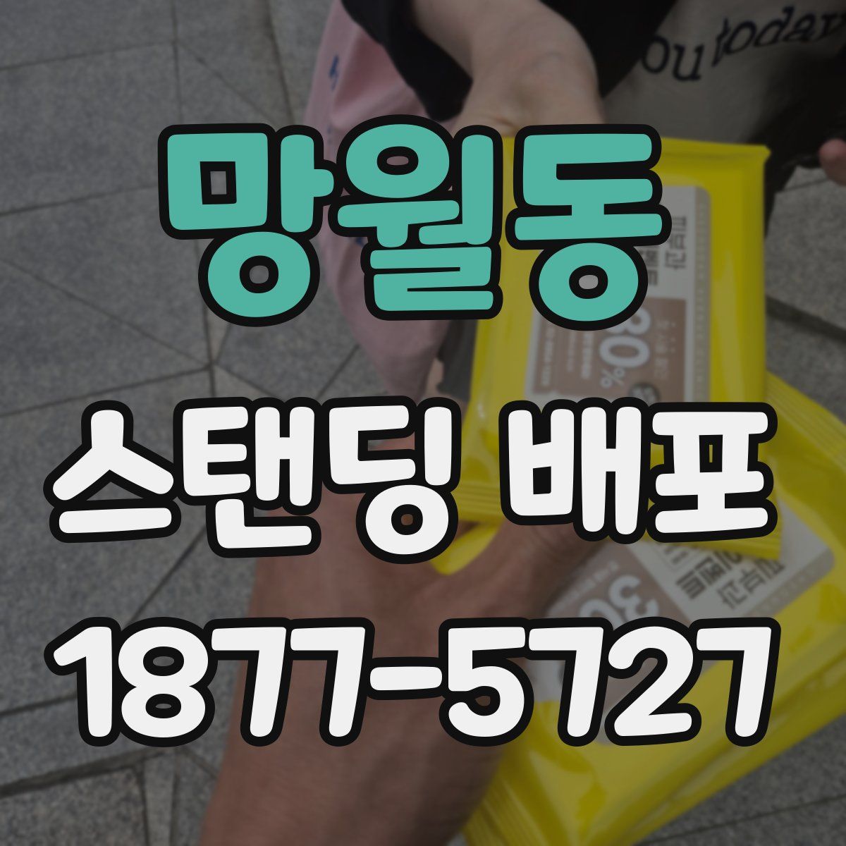 망월동 스탠딩 배포