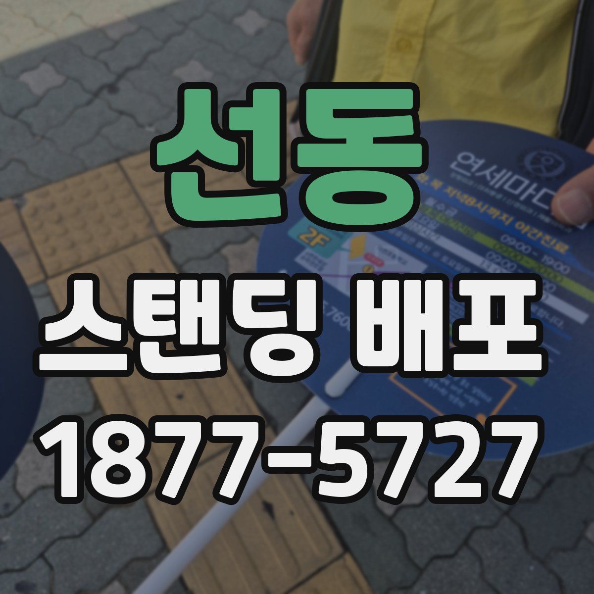 선동 스탠딩 배포