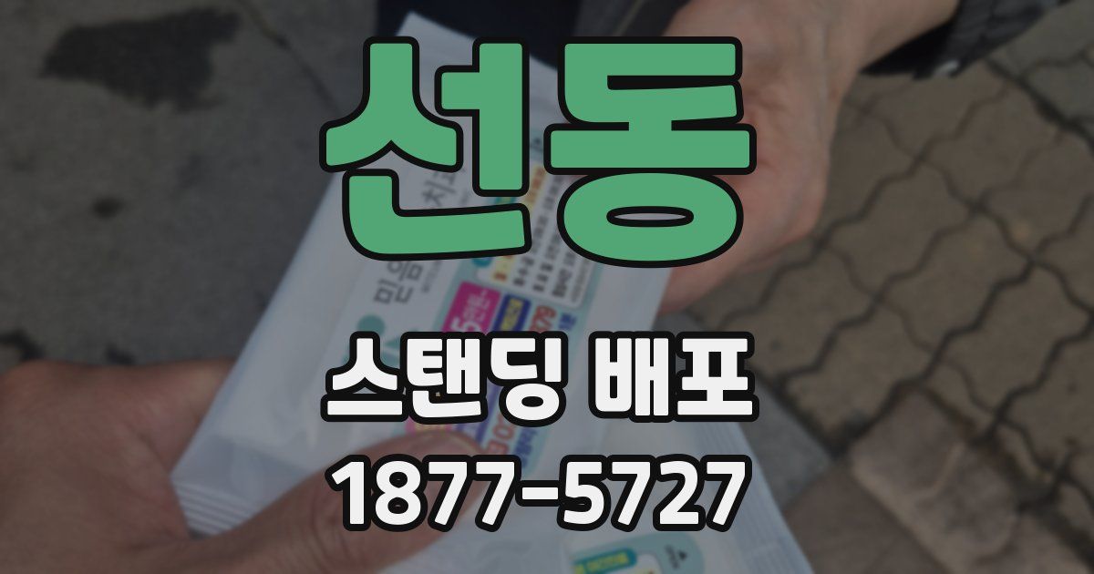 선동 스탠딩 배포