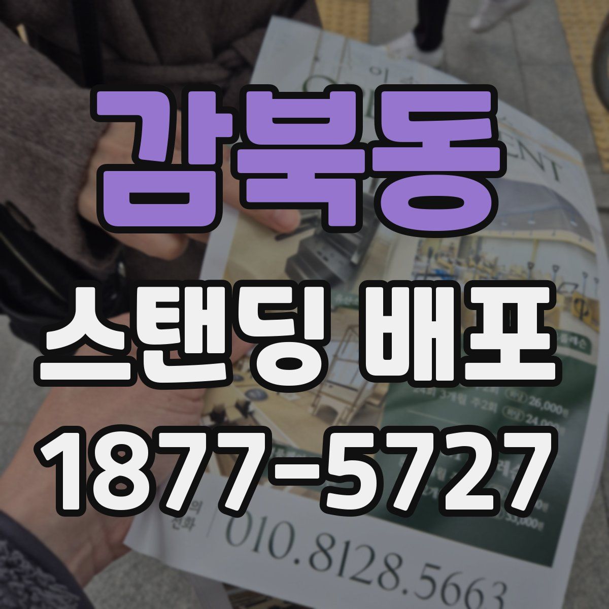 감북동 스탠딩 배포