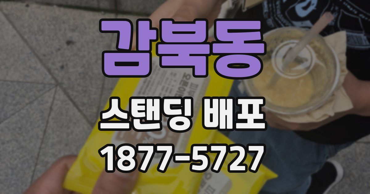 감북동 스탠딩 배포