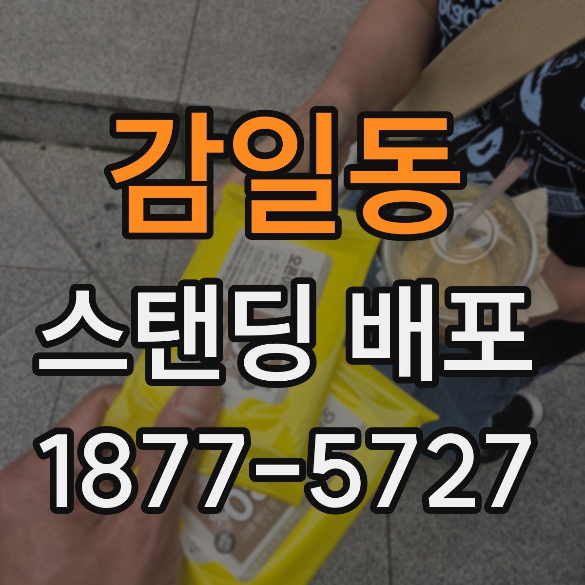 감일동 스탠딩 배포
