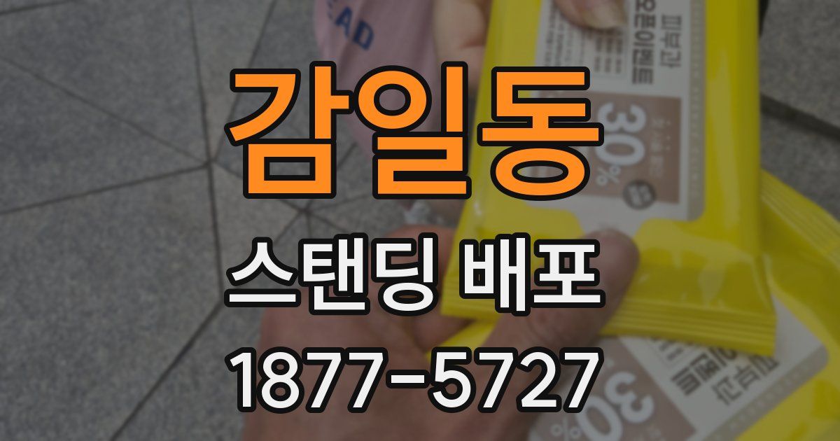 감일동 스탠딩 배포