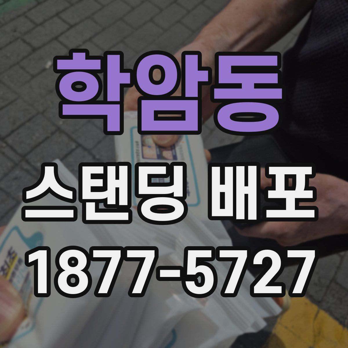 학암동 스탠딩 배포