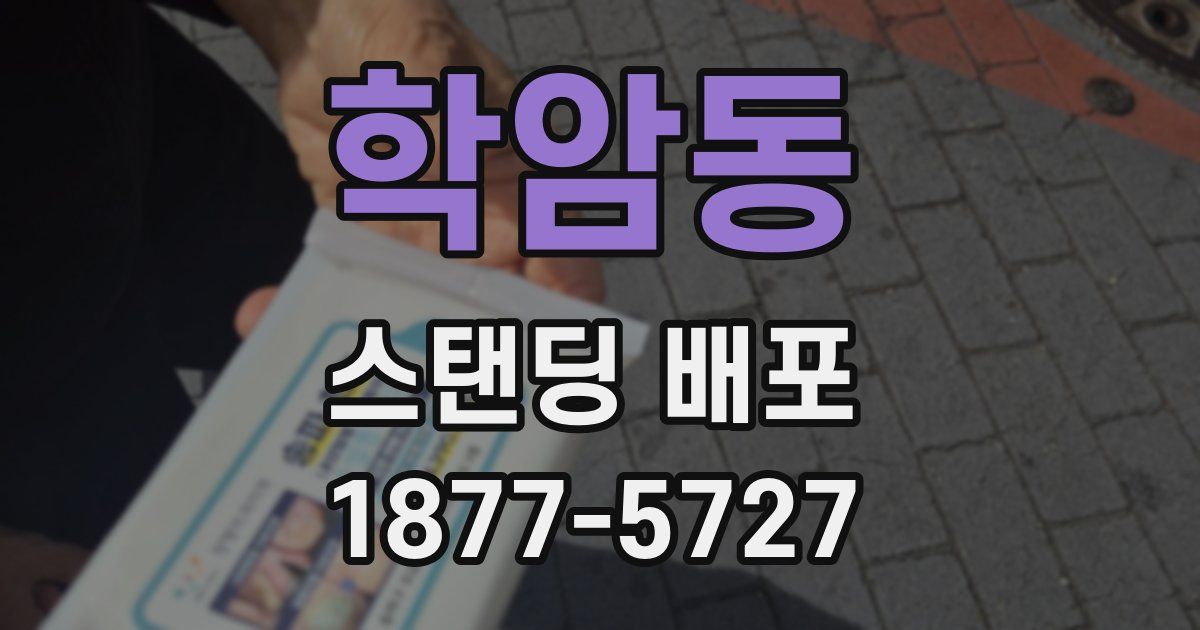학암동 스탠딩 배포