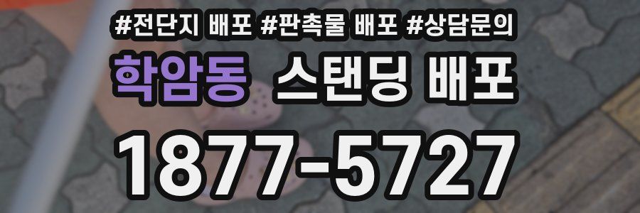 학암동 스탠딩 배포