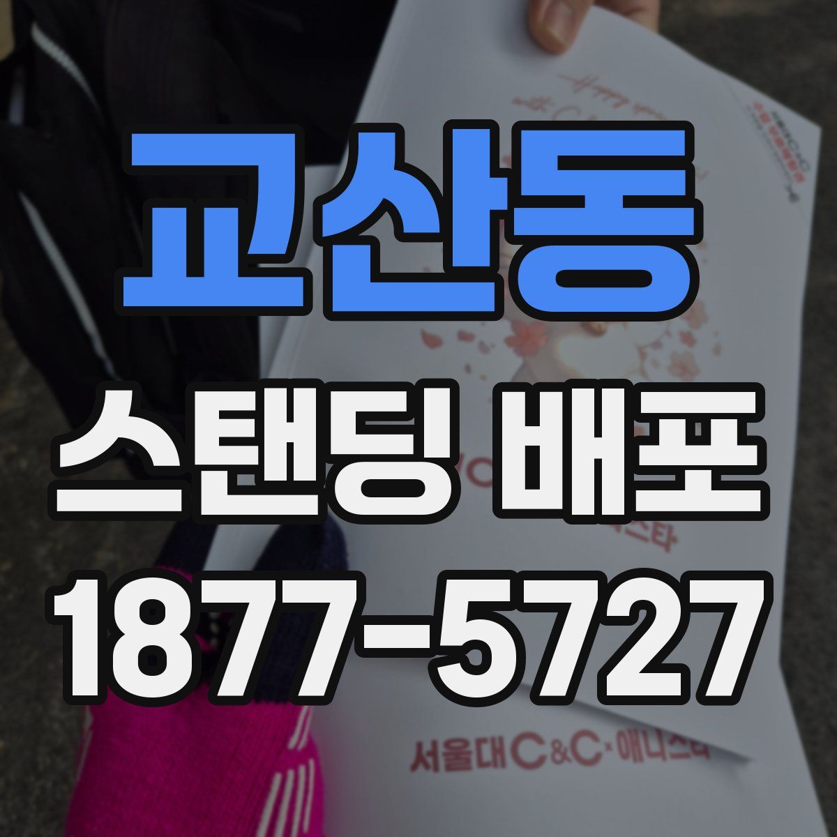 교산동 스탠딩 배포