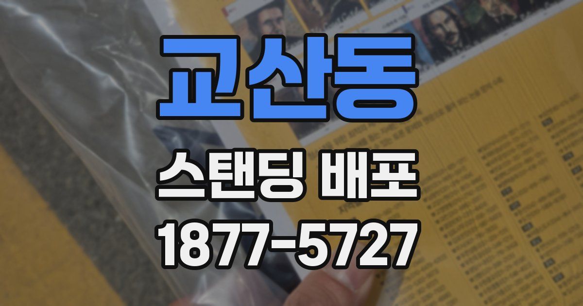 교산동 스탠딩 배포