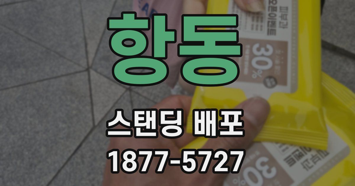 항동 스탠딩 배포
