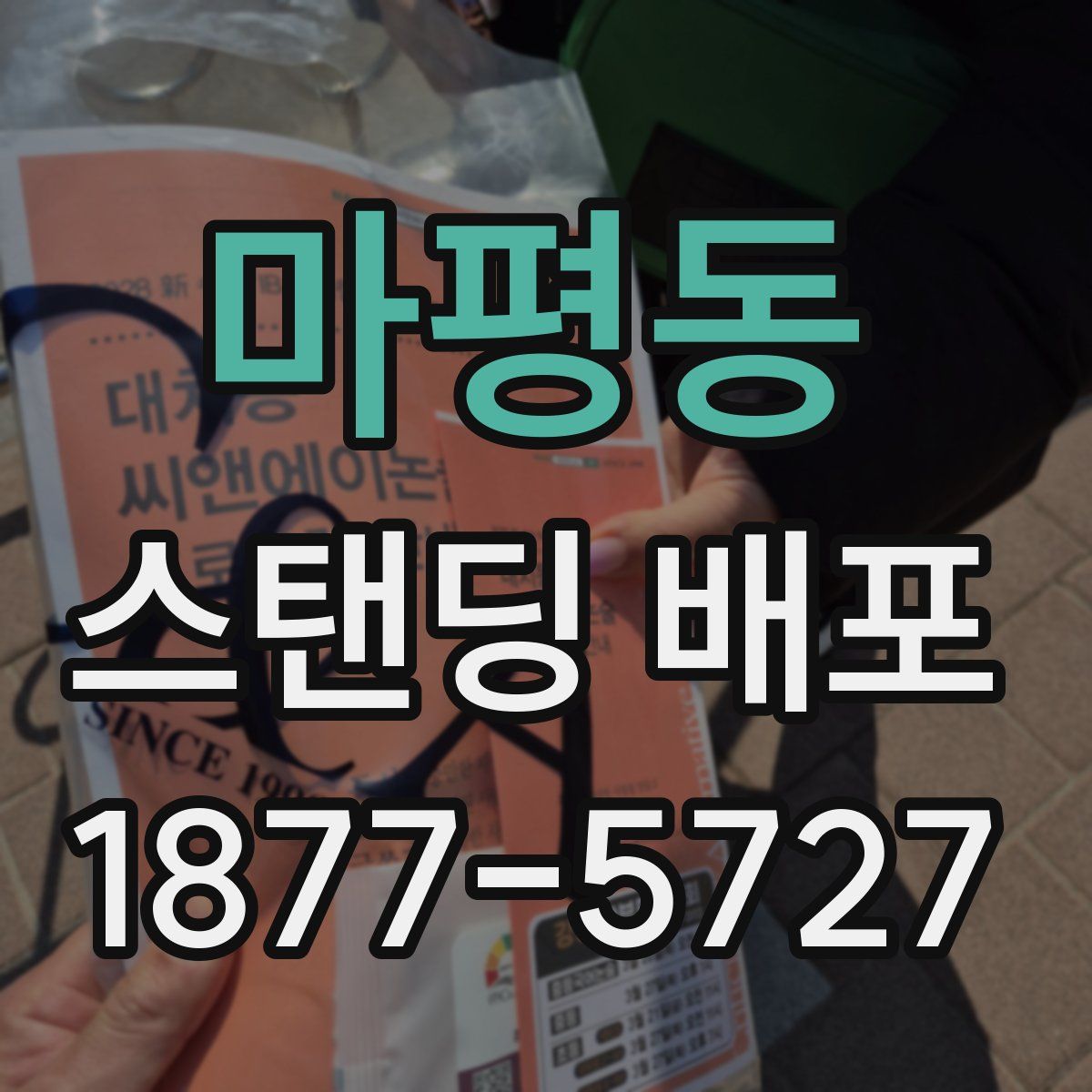 마평동 스탠딩 배포