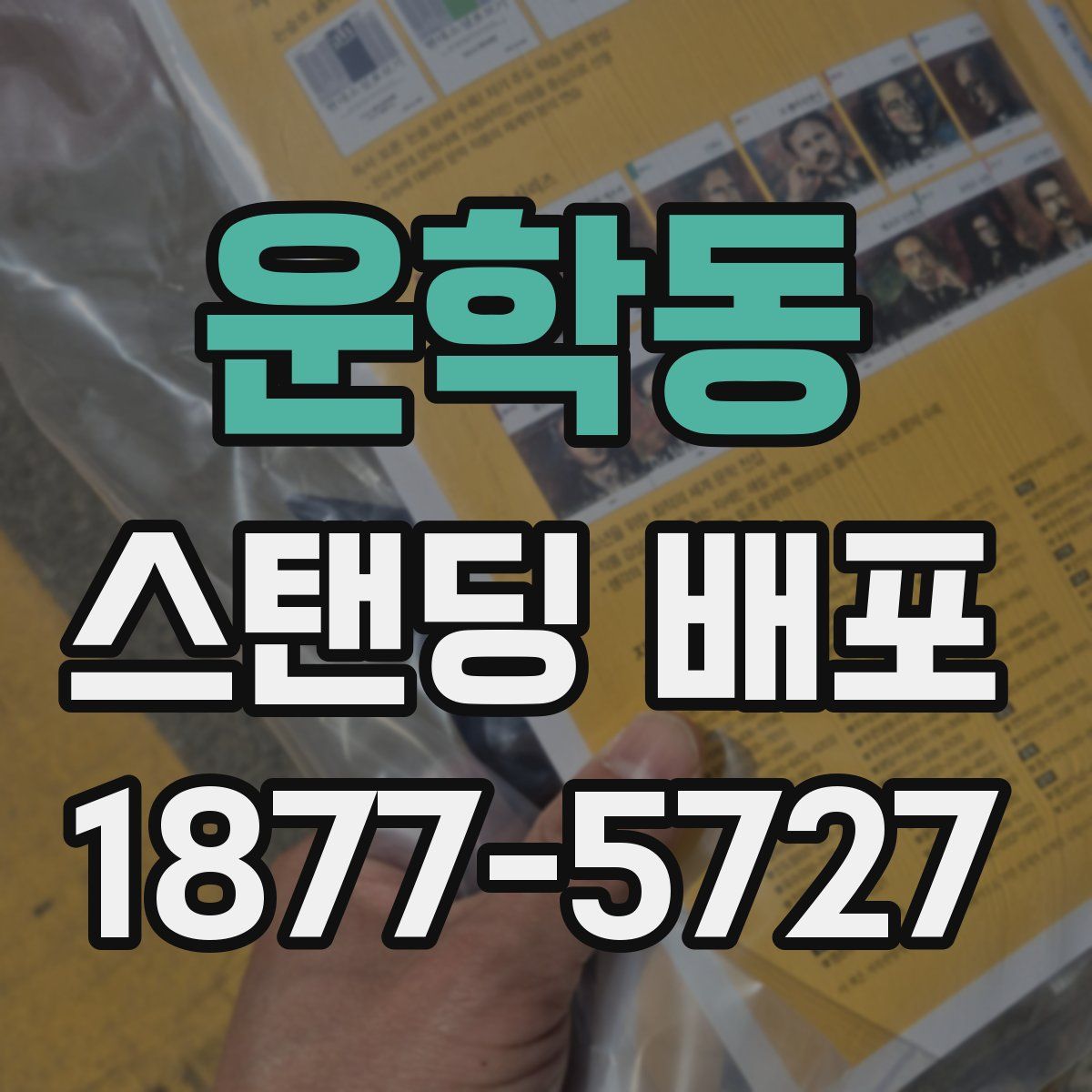 운학동 스탠딩 배포