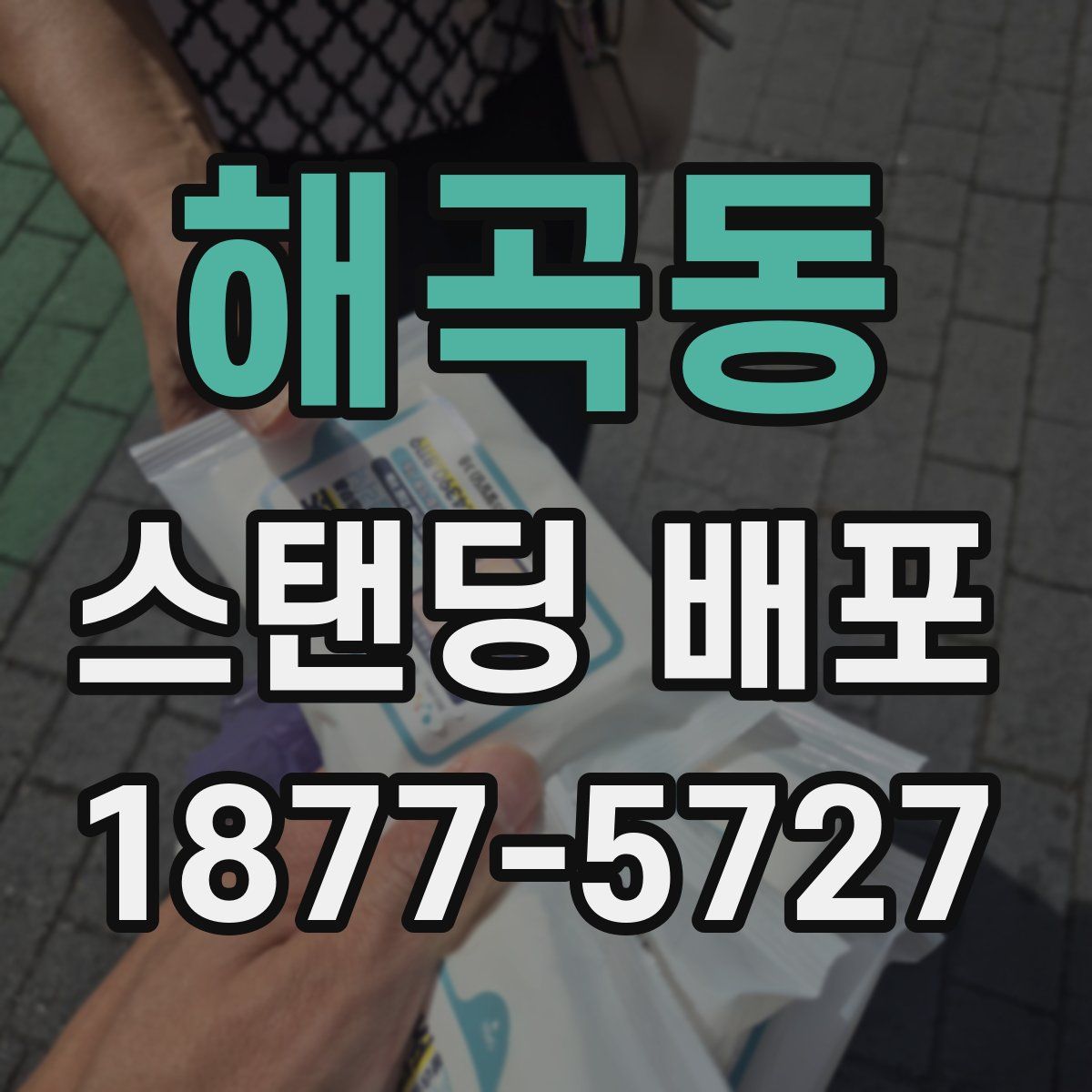 해곡동 스탠딩 배포
