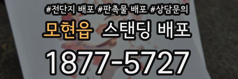 모현읍 스탠딩 배포