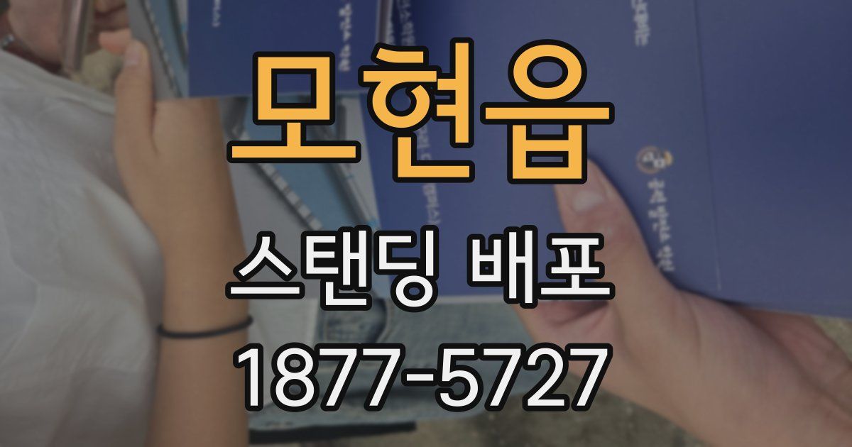 모현읍 스탠딩 배포