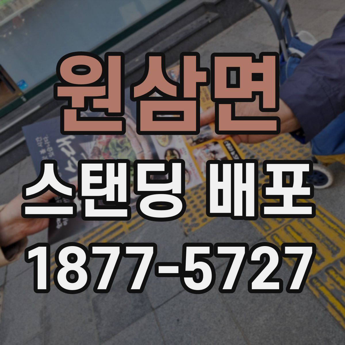 원삼면 스탠딩 배포